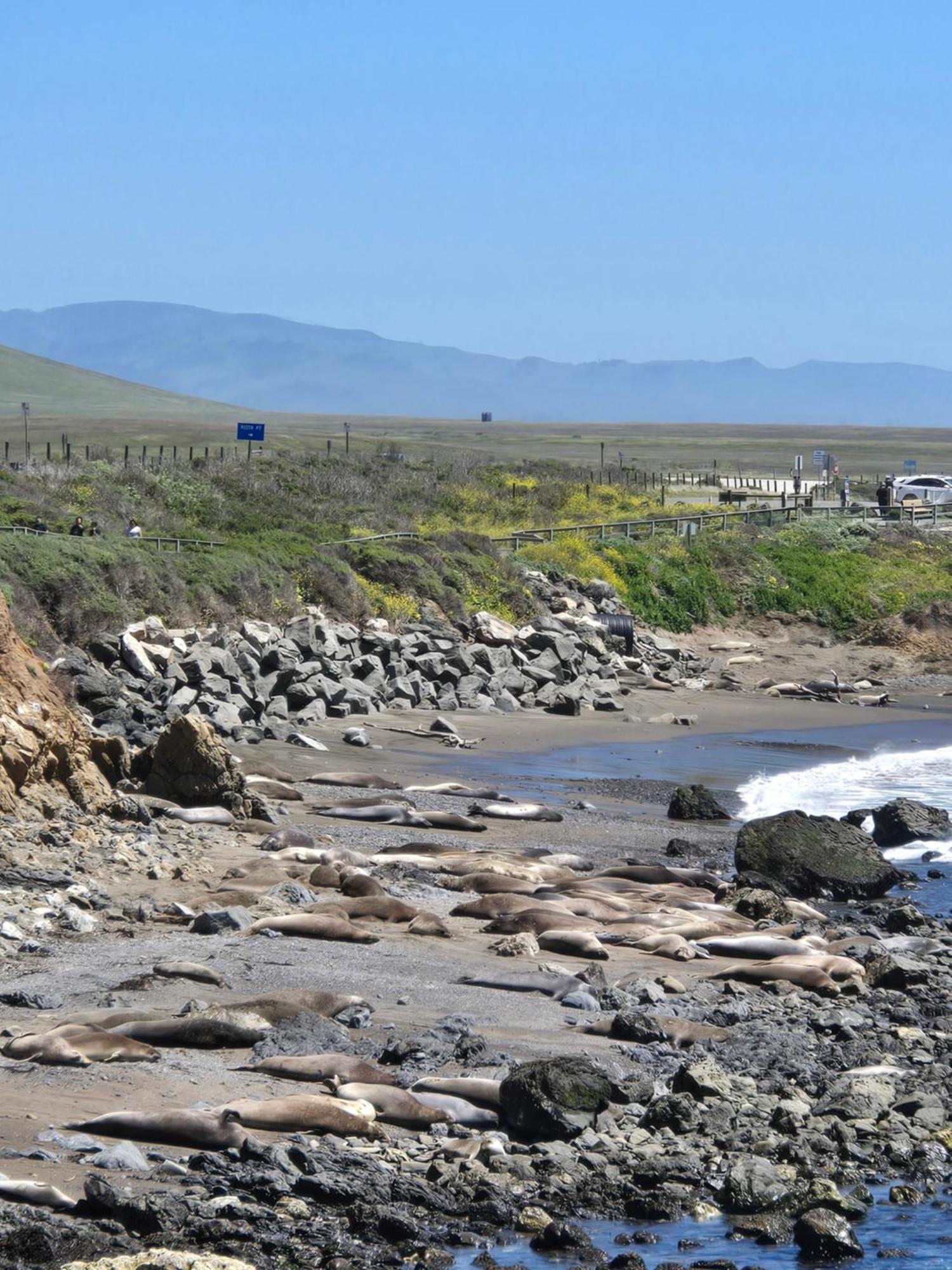 Coast Riders Inn San Simeon Eksteriør bilde