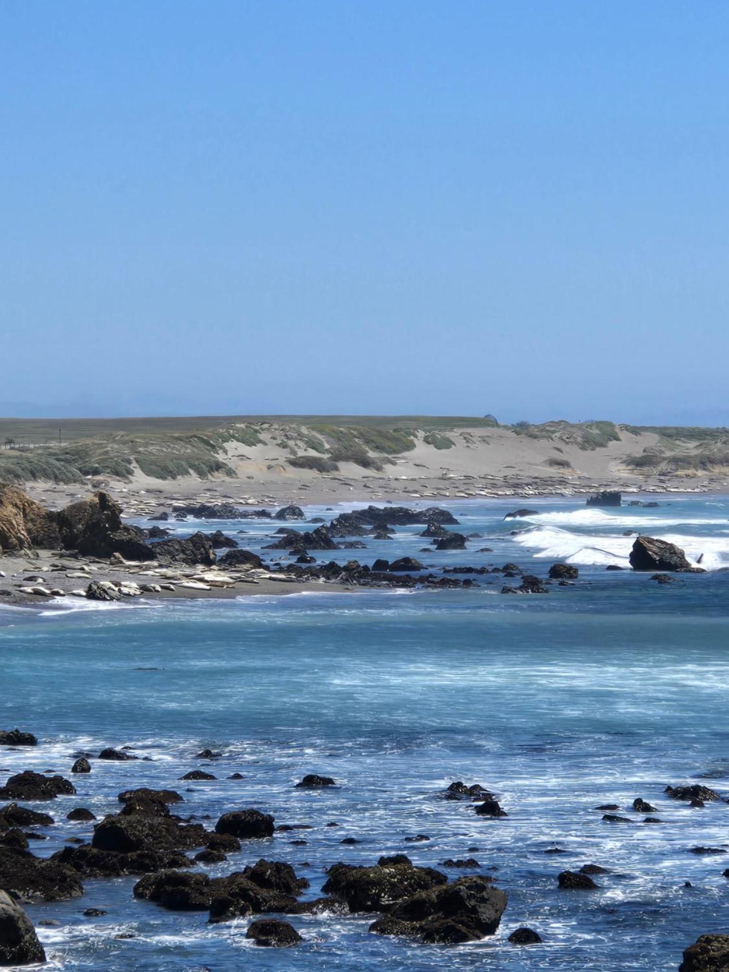 Coast Riders Inn San Simeon Eksteriør bilde
